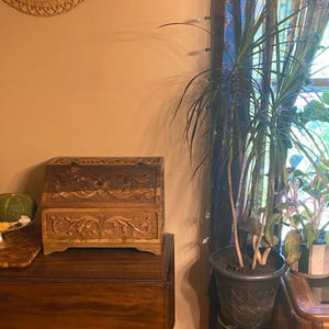May include: A rectangular wooden box with a hinged lid, featuring intricate floral carvings on the front and top panels. The box has a dark brown finish and sits on a wooden surface next to a tall green plant in a dark textured pot.