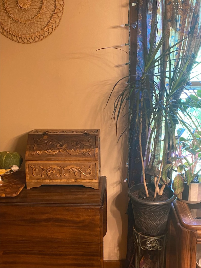 May include: A rectangular wooden box with a hinged lid, featuring intricate floral carvings on the front and top panels. The box has a dark brown finish and sits on a wooden surface next to a tall green plant in a dark textured pot.