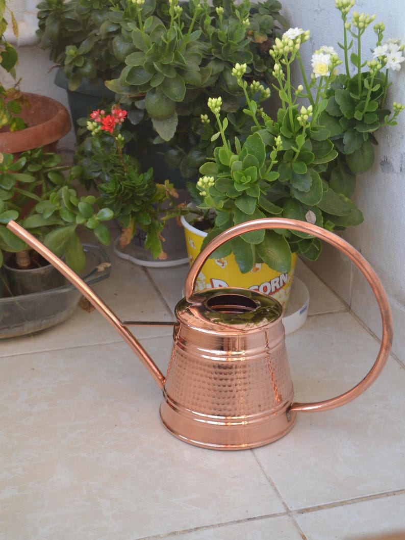 Edewoodcopper Watering Can - Thumbnail 4