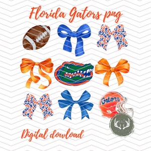 Florida Gators Schleife