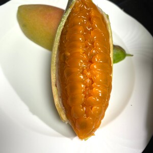 May include: A halved, open fruit with bright orange pulp, displayed on a white plate. The fruit's exterior is green and yellow, with a visible seed structure. Another whole fruit and a small green fruit are also on the plate.