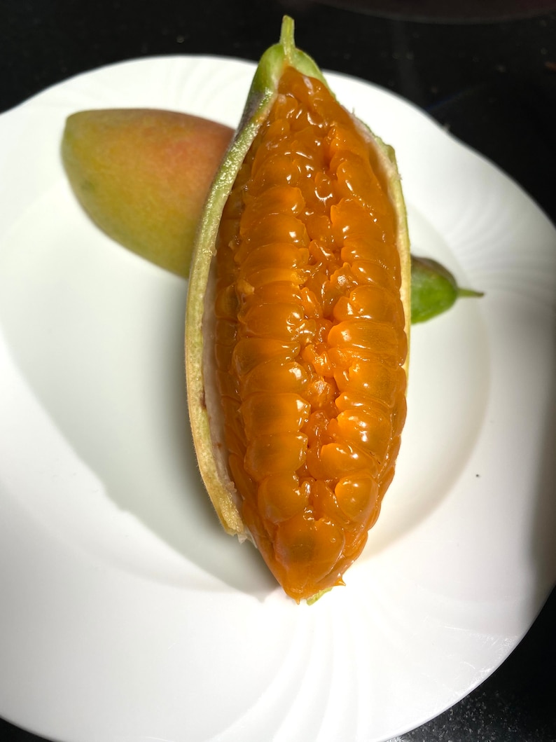 May include: A halved, open fruit with bright orange pulp, displayed on a white plate. The fruit's exterior is green and yellow, with a visible seed structure. Another whole fruit and a small green fruit are also on the plate.