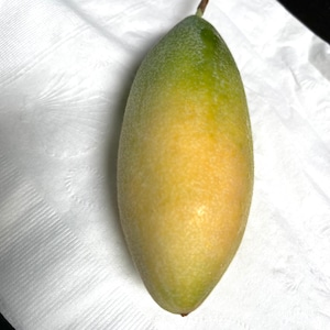 May include: A close-up of a green and yellow oblong fruit with a brown stem, resting on a white, textured napkin. The fruit's colors transition from green at the top to yellow at the bottom, suggesting ripeness.
