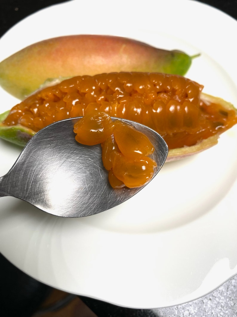 May include: A close-up shot of a white plate with a sliced fruit, a spoon, and another whole fruit. The sliced fruit reveals orange pulp and seeds. The spoon holds a portion of the fruit's pulp. The whole fruit is yellow and red.