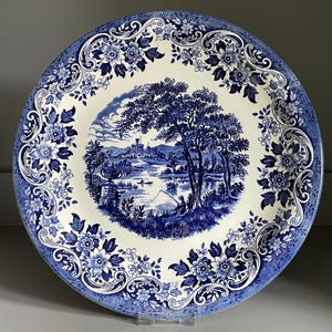 May include: A round ceramic plate featuring a blue and white transferware pattern. The centre depicts a landscape with trees, a lake, and a building. The wide border is decorated with intricate floral motifs and scrolling leaf designs.