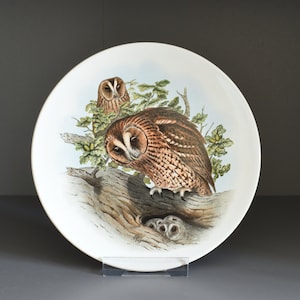 May include: White ceramic plate featuring a detailed illustration of two owls perched on a tree branch. The owls have brown and white feathers, with green foliage and a light blue sky background. The plate is round.