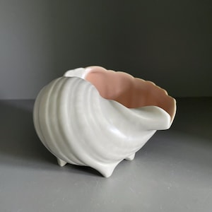 Könnte beinhalten: Ein weißer Keramik-Pflanztopf in Muschelform mit hellrosa Innenraum. Der Pflanztopf hat eine strukturierte, geriffelte Außenseite und steht auf drei kleinen Füßen. Der Innenraum hat einen gewellten Rand.