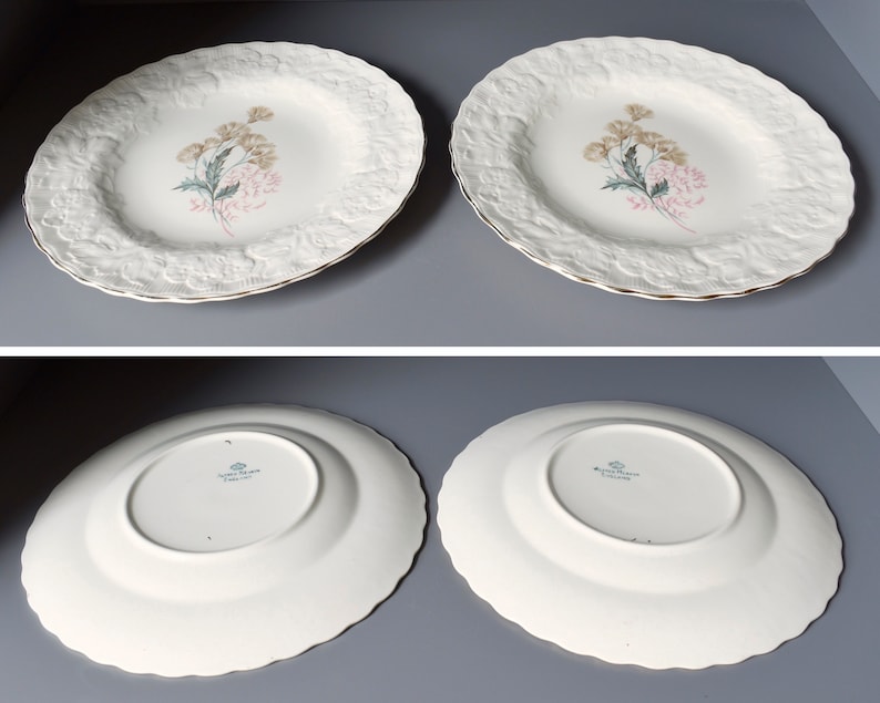 Alfred Meakin Ironstone Plates, White Embossed Scalloped Edge Dinner Plates, Dried Thistle Heads