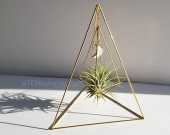 May include: A gold metal geometric planter with a crescent moon hanging from the top. A green air plant is growing inside the planter.