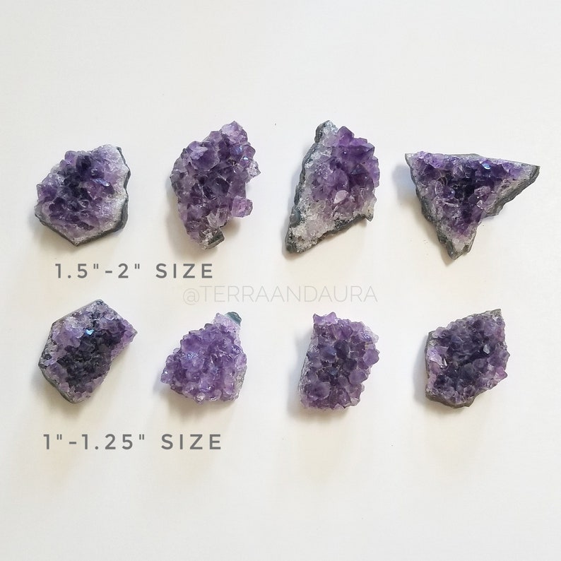 May include: Eight amethyst crystal clusters in various sizes, ranging from 1 to 2 inches. The crystals are a deep purple colour and have a natural, rough texture. The image includes the text "1.5"-2" SIZE" and "1"-1.25" SIZE".