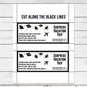 Graduation Boarding Pass, Graduation Gifts, Printable Ticket, Surprise ...