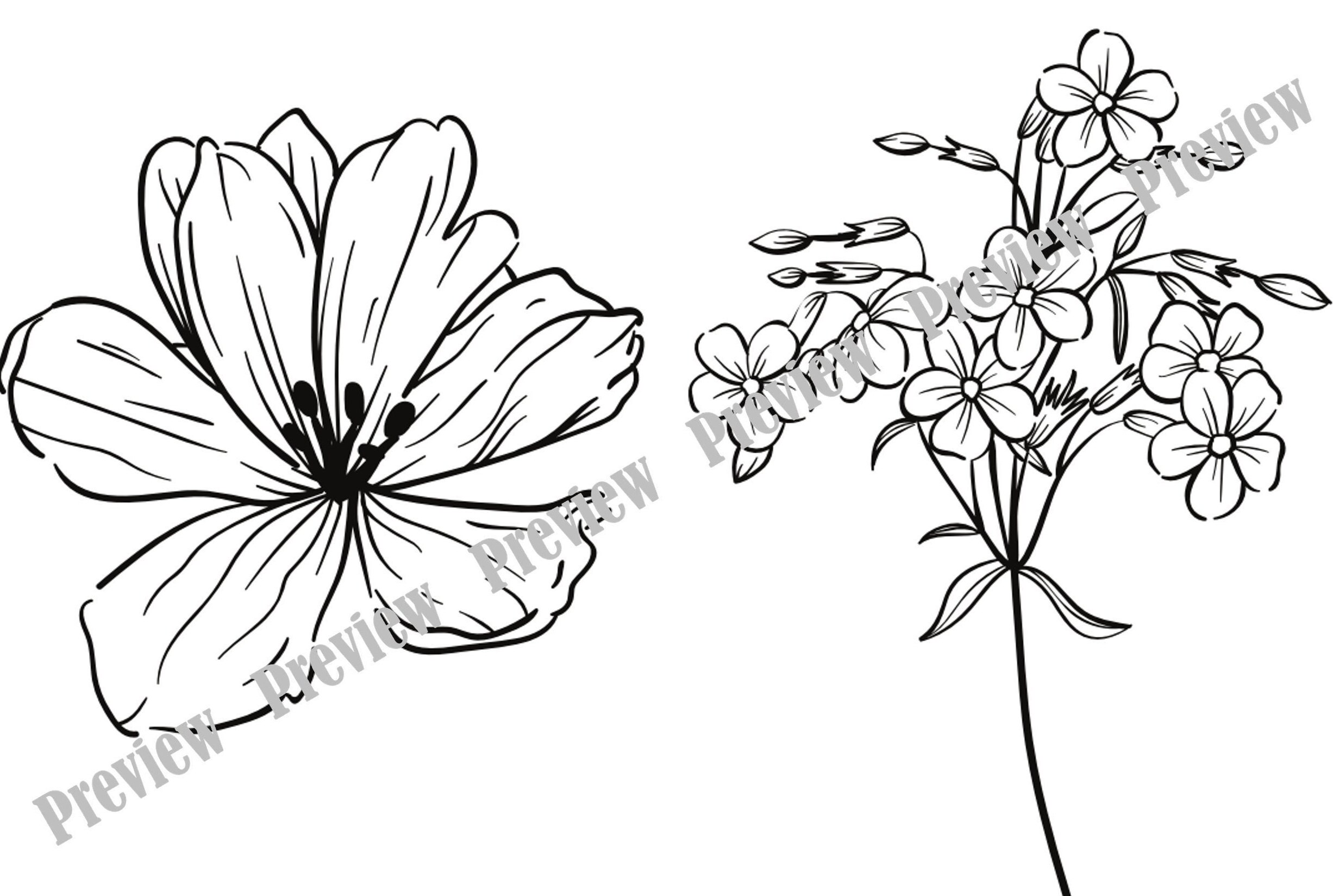 40x Simple Flower Colouring Pages Printable Colouring | Etsy