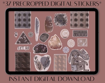DIGITAL PLANNER STICKERS, pre cropped, png, sticker book page, Goodnotes, Aesthetic, Zip File, 37 hand drawn unique individual png, artsy