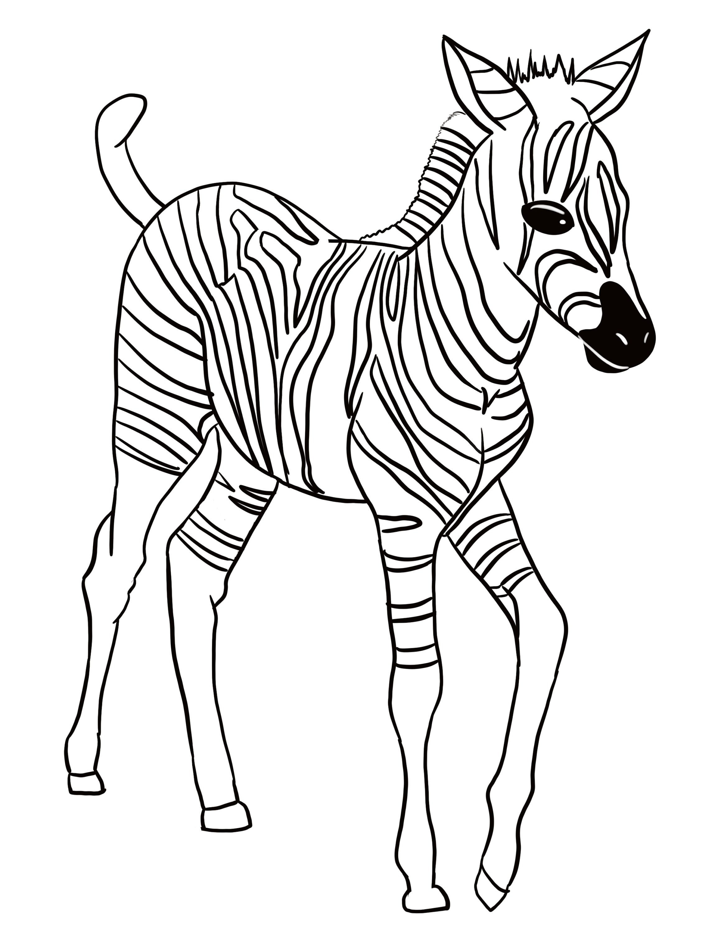 16 kids animal coloring pages etsy