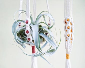 Soporte de macramé para plantas aéreas Xerographica Daisy, colgador grande para exhibir Tillandsia