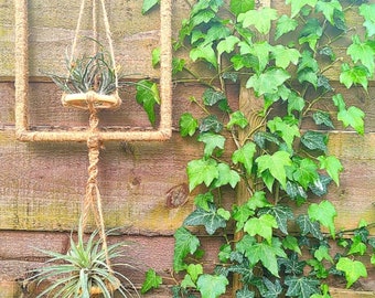 Colgador de yute para plantas aéreas, decoración de pared estilo bohemio, expositor de tillandsias.