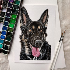 Aangepaste aquarel huisdierportretten, A5, aangepaste handgeschilderd, hondenportret, kattenportret, huisdierportret, huisdiergedenkteken, cadeau, handgeschilderd