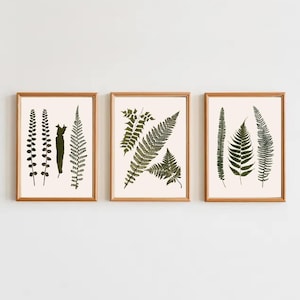 PRINTABLE Vintage Botanical Gallery Set | 3 Piece Plant Digital Download | Antique Leaf Illustration | Boho Cottagecore Decor | Pressed Fern