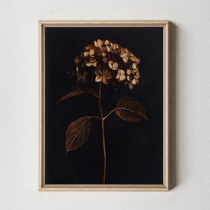 Dunkle Hortensie Wand Kunst Druckbare Moody Botanische Bauernhaus Druck | Gothic Cottagecore Dekor digitaler Download