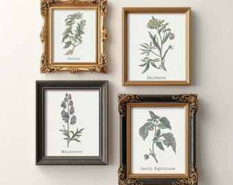 Deadly Botanical Gallery Set, Muted Floral Wall Art, 4 Piece Vintage Flower Prints, Moody Academia Decor, Apothecary Illustration