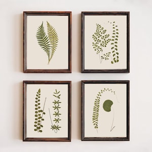 PRINTABLE Vintage Botanical Gallery Set | 4 Piece Plant Digital Download | Antique Leaf Illustration | Boho Cottagecore Decor | Pressed Fern