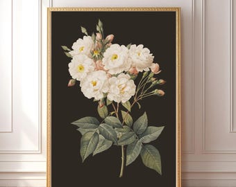 Arte de pared de rosa blanca imprimible / Pintura floral vintage / Impresión digital floral melancólica / Póster botánico gótico / Decoración cottagecore oscura
