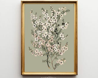 PRINTABLE White Flower Wall Art | Vintage Floral Digital Print | Botanical Poster | Cottagecore Decor | Shabby Chic | Sage Green Wall Art