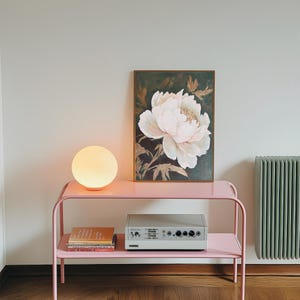 May include: A pink metal shelf unit with two shelves. The top shelf has a white globe lamp and a framed print of a white peony flower on a dark green background. The bottom shelf has a white stereo system and a stack of books.