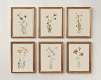 PRINTABLE Wildflower Botanical Gallery Set | 6 Piece Neutral Floral Print | Vintage Flower Download | Cottagecore Decor | Farmhouse Wall Art