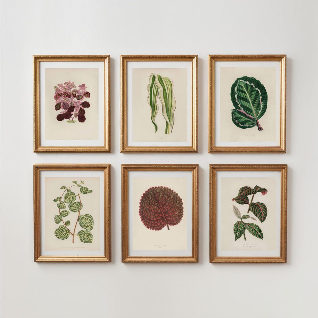 PRINTABLE Vintage Botanical Gallery Wall Set | 6 Piece Digital Download ...
