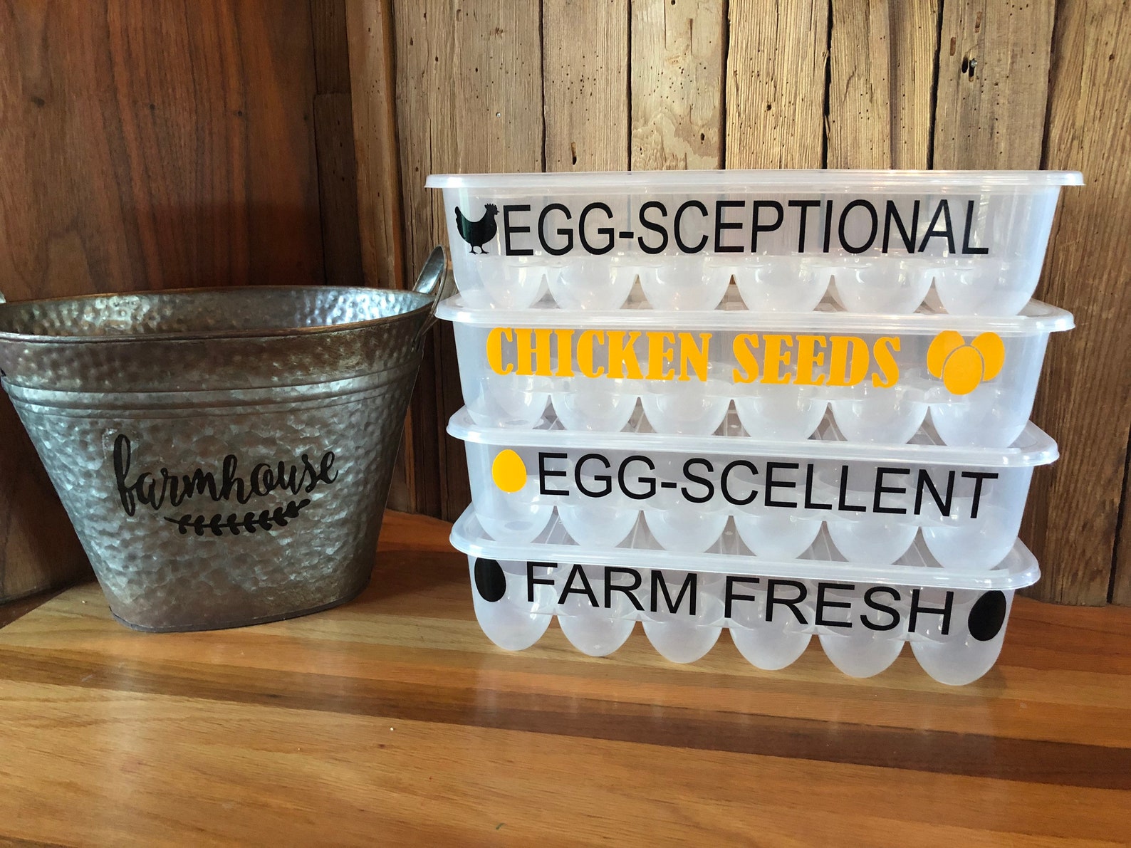 fresh egg storage container