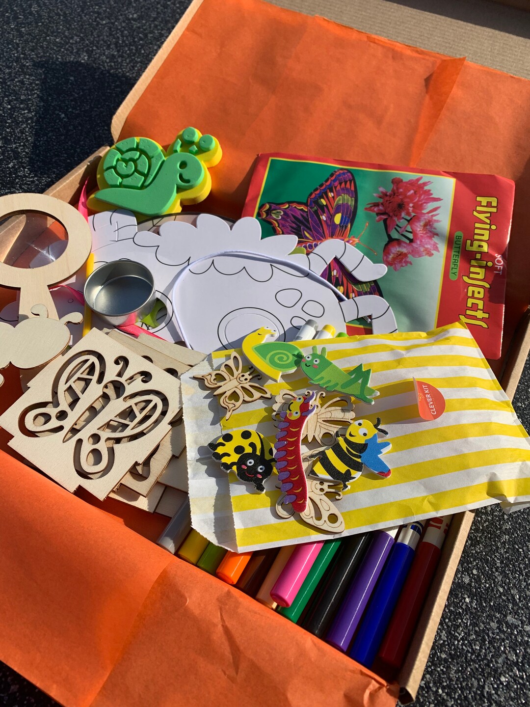 Minibeast Craft Box - Etsy Österreich
