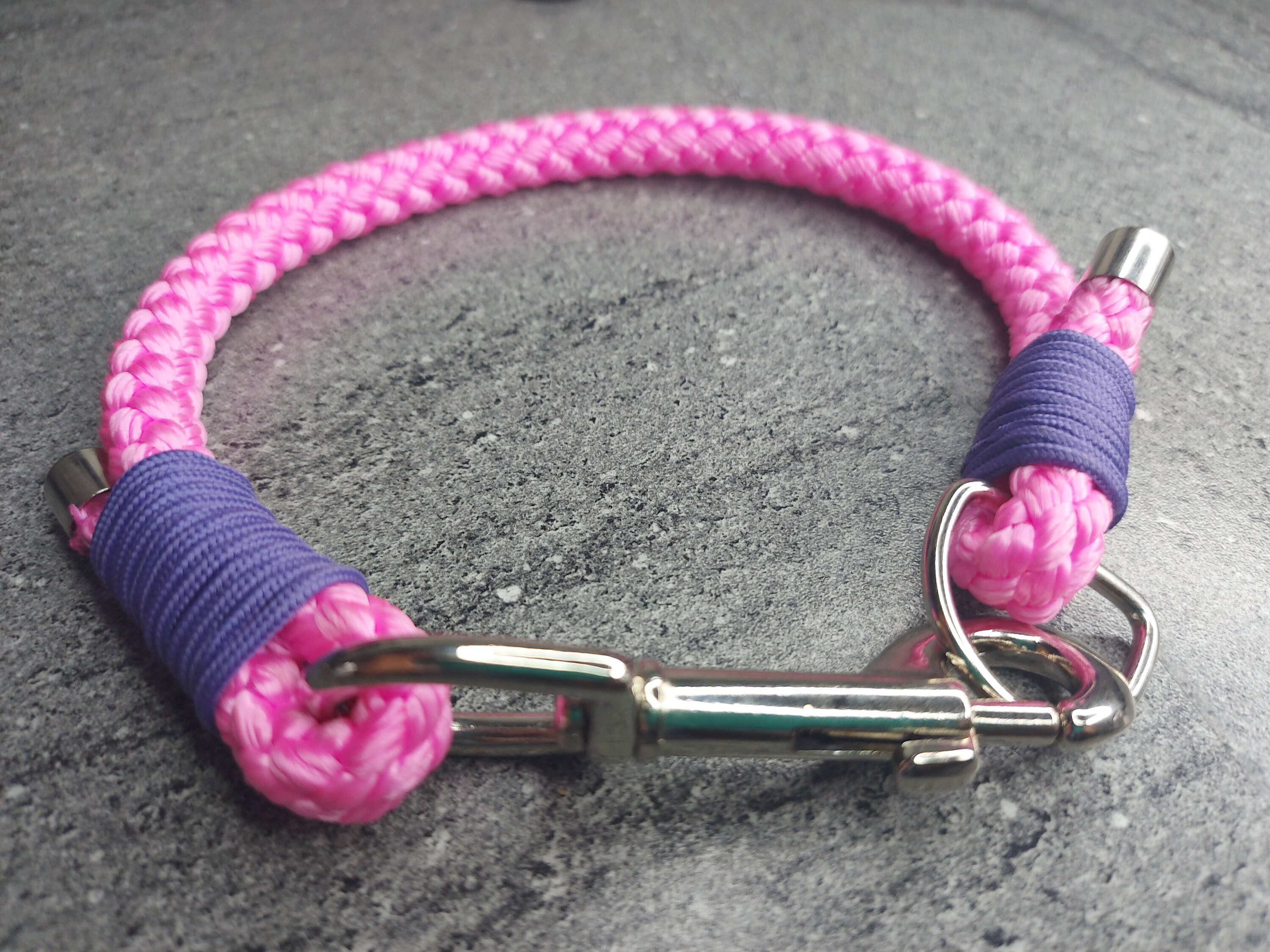 Dog clip collar Etsy
