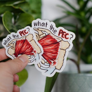 what the PEC? Glossy vinyl sticker for water bottles, laptops, cars, and more!