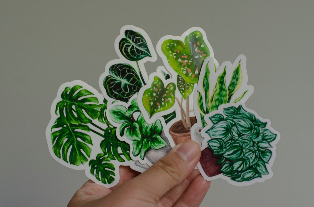 Variety of Household Plants Die-cut, Vinyl, Glossy Stickers for Water ...