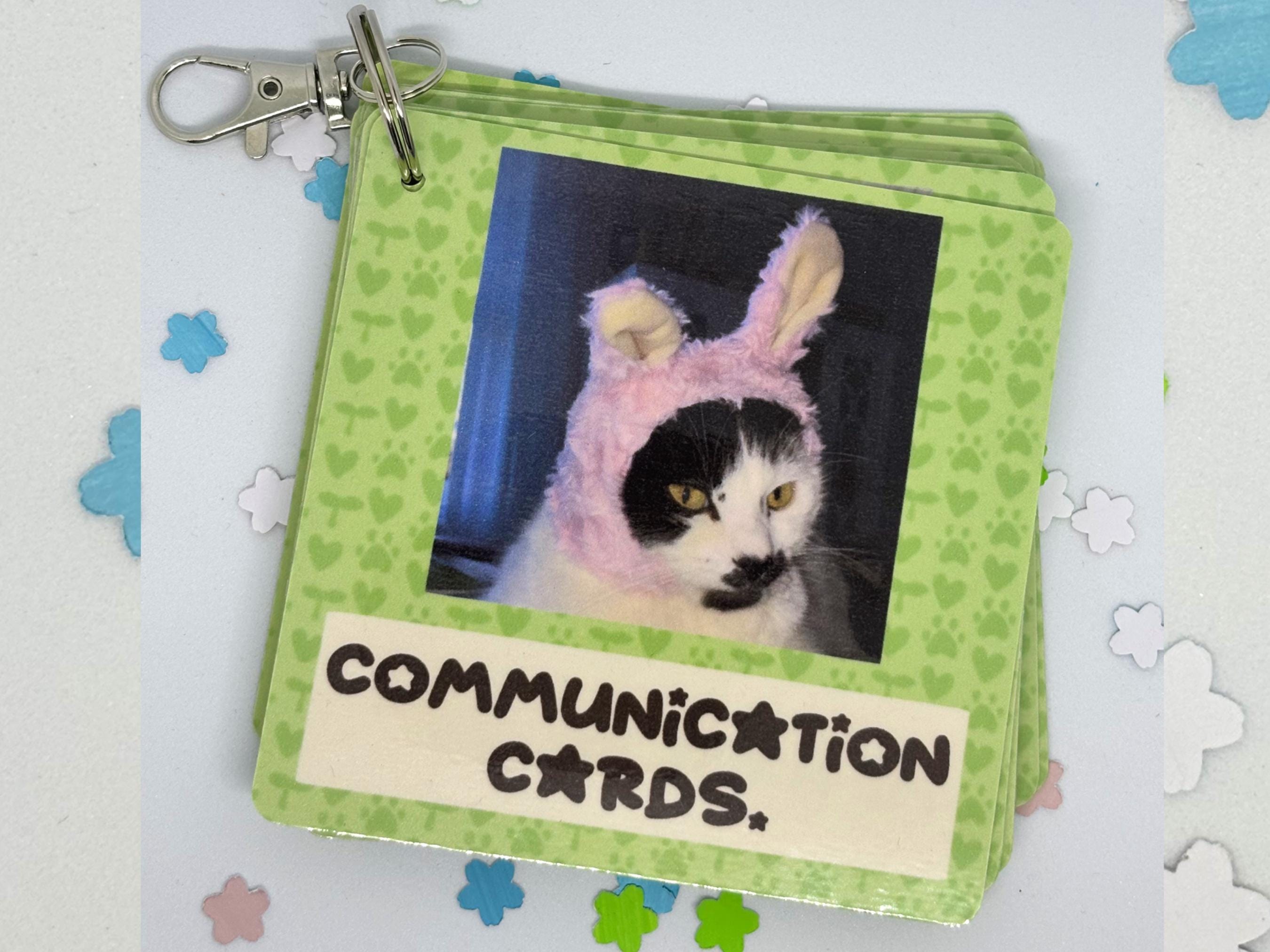 Cat Communication Cards | cute funny cats chaotic autism ADHD communication aids