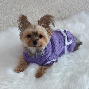 May include: A small, brown and tan dog wearing a purple knitted jumper with white trim. The dog is lying on a white fluffy rug.