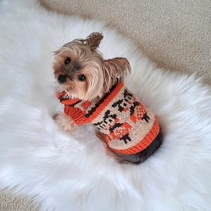 Modele tricot manteau pour yorkshire sale