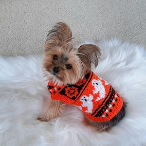 May include: A small, brown and tan Yorkshire Terrier dog wearing a bright orange and black Halloween sweater with a ghost and pumpkin design. The dog is sitting on a white fluffy rug.