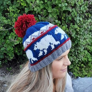May include: A blue, red, white, and gray knit hat with a pom-pom on top. The hat features a pattern of polar bears.