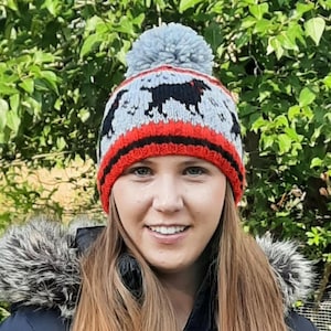 May include: A gray and red knit hat with a black pom-pom on top. The hat has a black and white pattern of dogs on it.