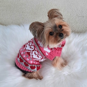 Peut inclure: Un petit chien brun et blanc portant un pull en tricot rose et gris à motifs de cœurs. Le chien est assis sur un tapis blanc et moelleux.