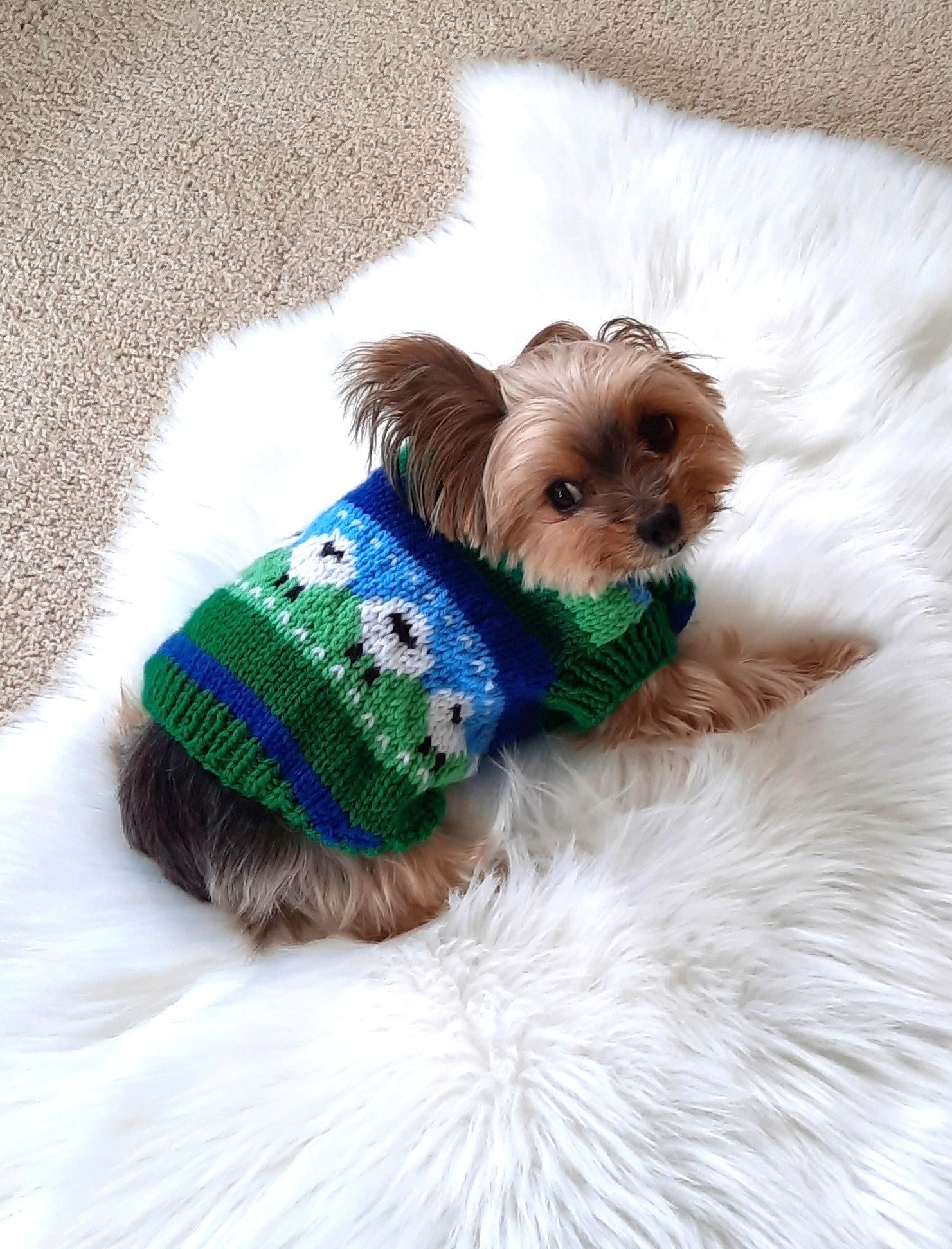 Dog Sheep Sweater Etsy Canada