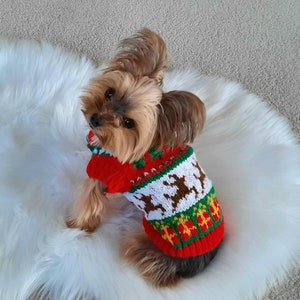 May include: A small brown and white dog wearing a red, green, and white Christmas sweater with a reindeer pattern. The dog is sitting on a white fluffy rug.