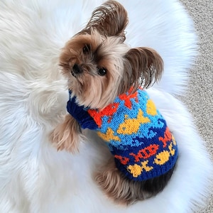 May include: A small, brown and white dog wearing a blue, orange and yellow knitted jumper with a fish pattern. The jumper has a blue background with orange and yellow fish.