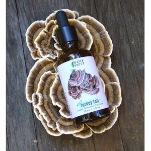 Peut inclure: Une bouteille en verre de teinture d'extraction double "Wild Turkey Tail" de Lucky Forest. La bouteille est étiquetée avec un dessin de champignon queue de dinde et le texte "55 ml / 2 fl oz".