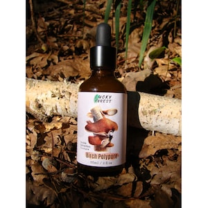 Teinture de polypore de bouleau 50 ml (2 oz) Double extraction (Fomitopsis betulina) - Petit lot : BP05/25 Adaptogène immunitaire biologique