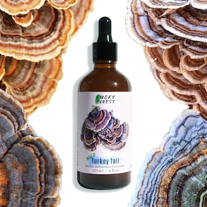 Peut inclure: Une bouteille en verre brun avec un compte-gouttes et une étiquette blanche. L'étiquette indique "Lucky Forest Wild Turkey Tail Double Extraction Tincture 100ml / 4 fl oz". La bouteille est entourée d'images de champignons.