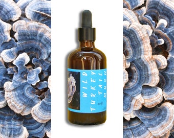 Turkey Tail Tincture 100 ml (3.4 oz.) Double-Extraction - Small Batch #2 of 2024