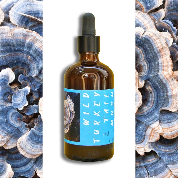 Turkey Tail Tincture 100 ml (3.4oz.) Double-Extraction - Small Batch #2 of 2024